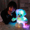 Image of LED Glow Teddy Bear