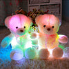 Image of LED Glow Teddy Bear