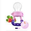Image of All-Purpose Fruit Feeder and Baby Pacifier